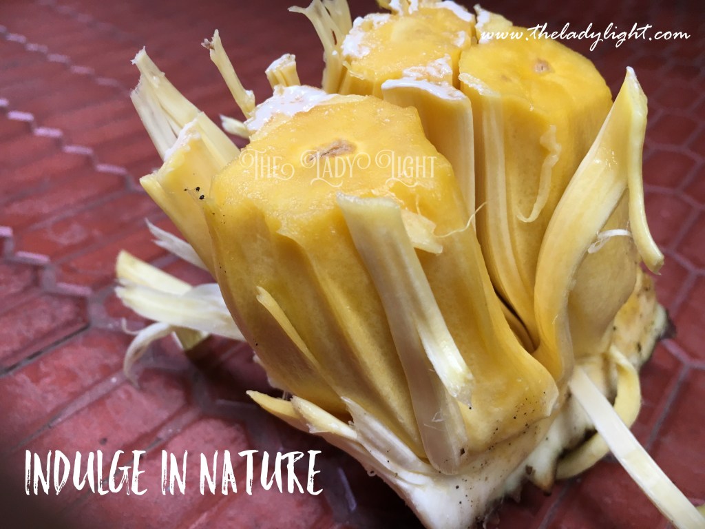 Indulge in nature&nbsp;!