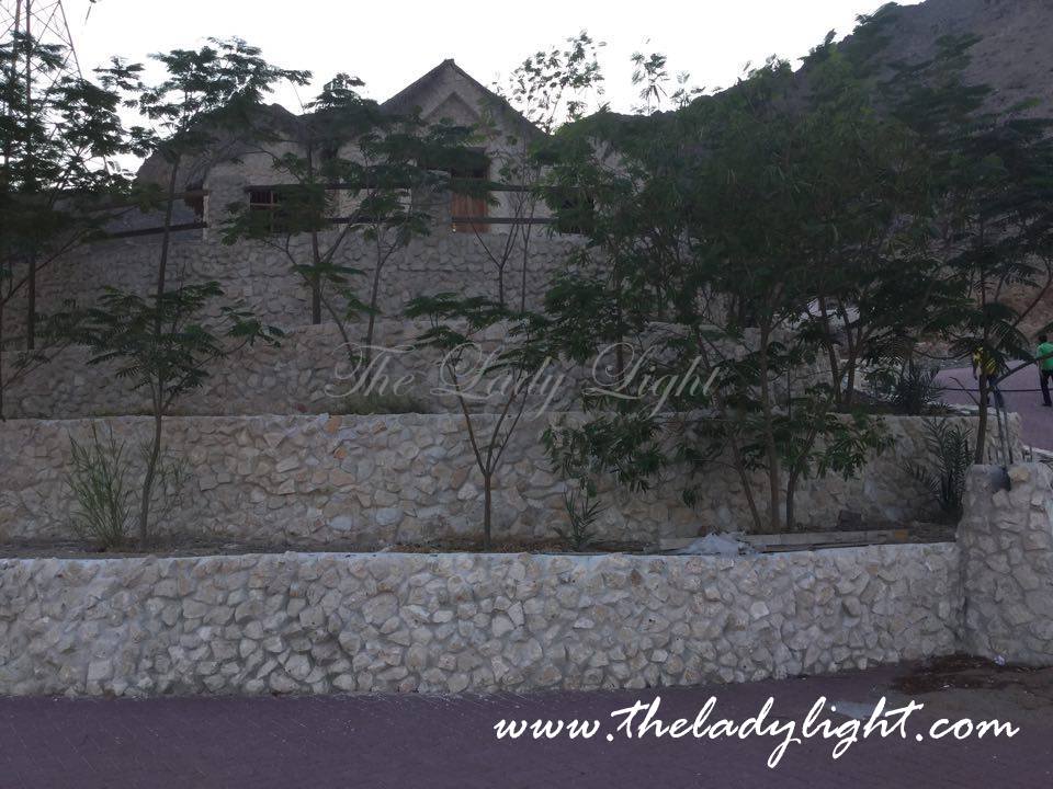 12312069_177464472602780_695976880_n