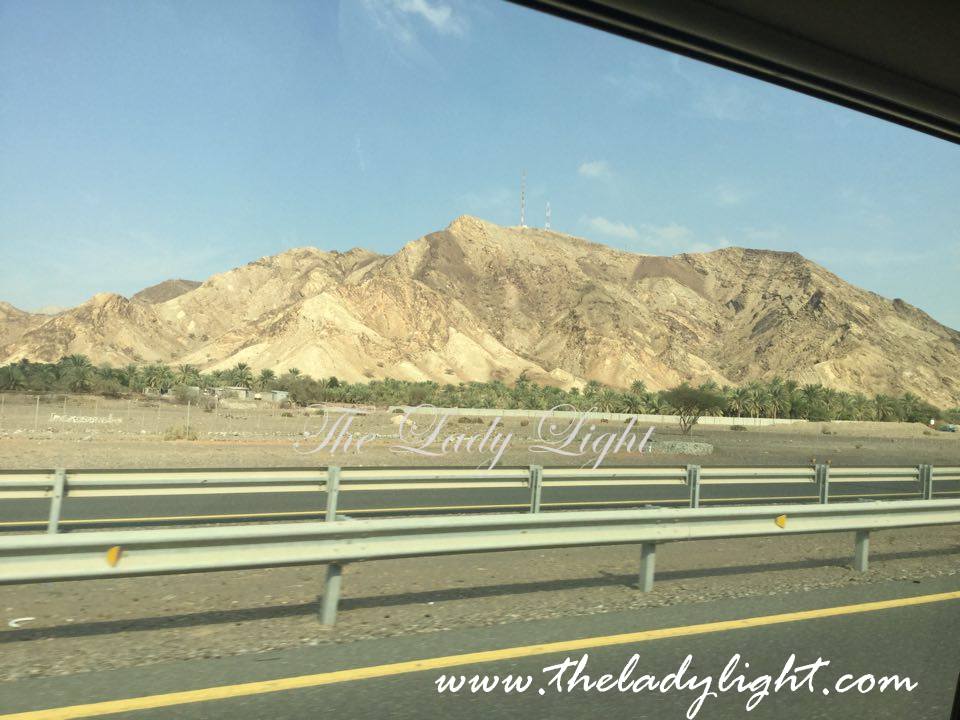 12351153_177467102602517_434008649_n