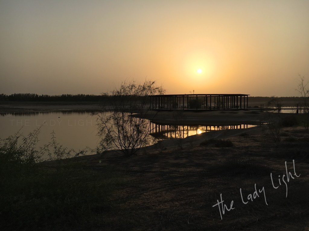 Wasit wetland center Sharjah UAE (Video&nbsp;post)